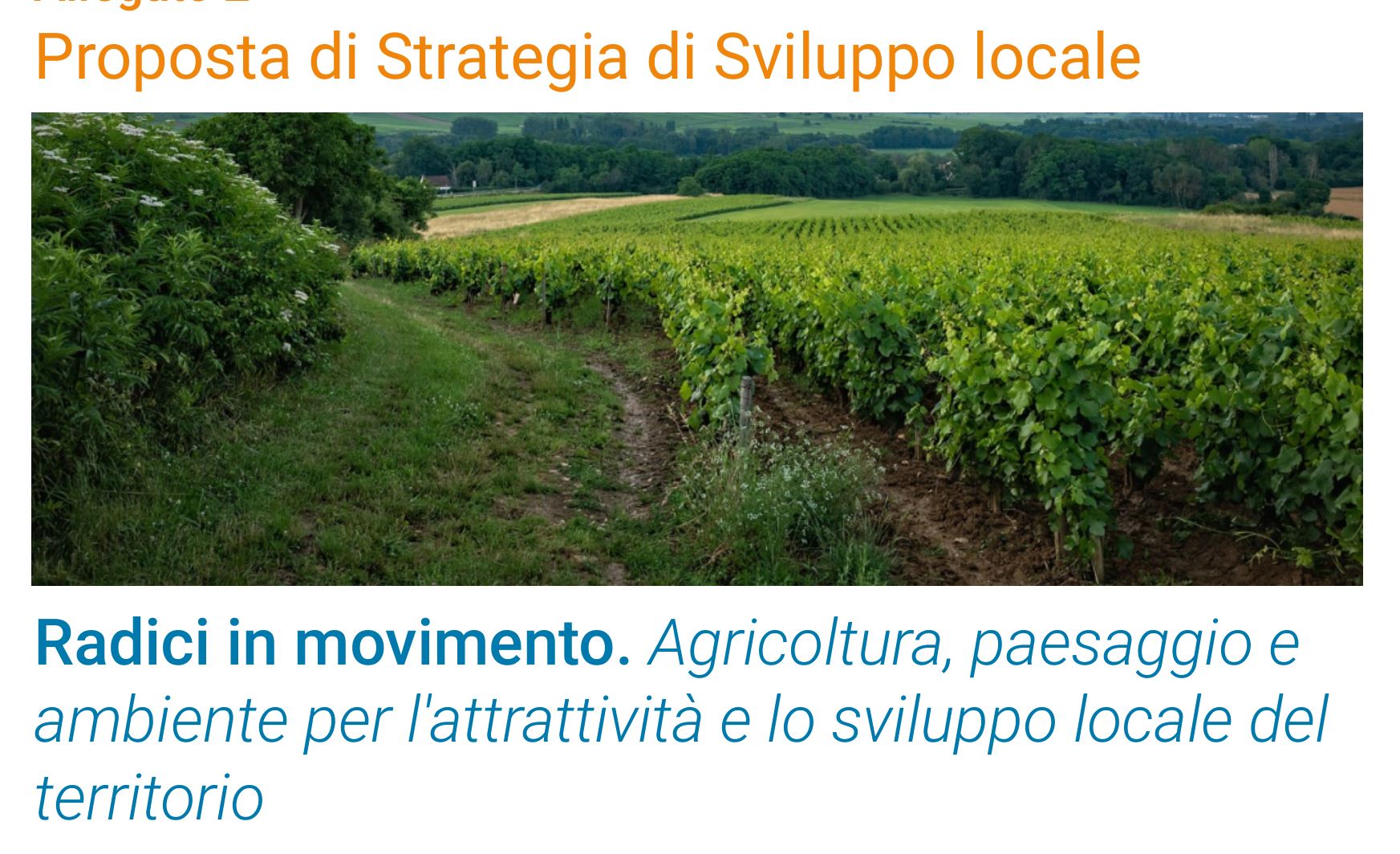 Estratto copertina Strategia di Sviluppo Locale